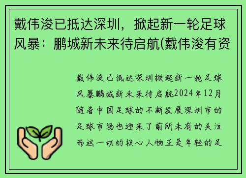 戴伟浚已抵达深圳，掀起新一轮足球风暴：鹏城新未来待启航(戴伟浚有资格入选国足吗)